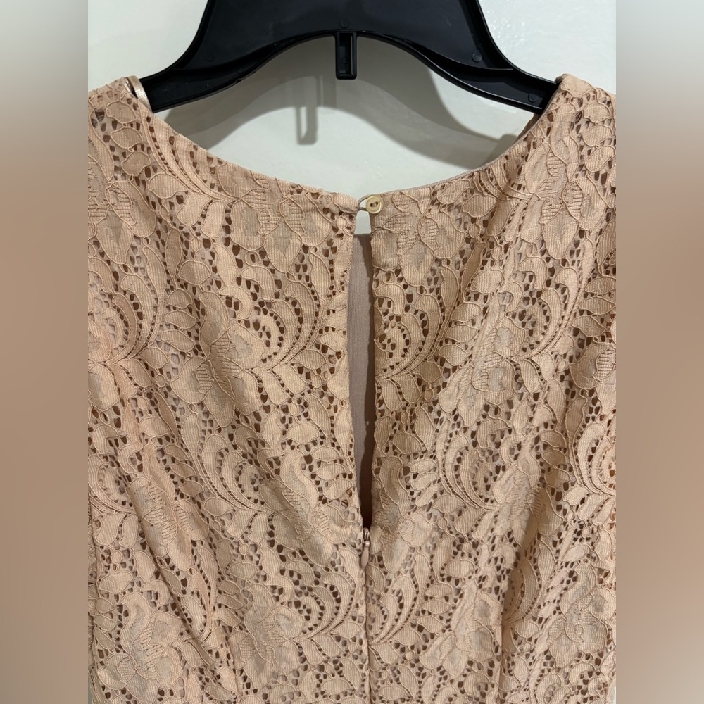 ZARA Elegant Lace Dress, Medium - Picture 5 of 9